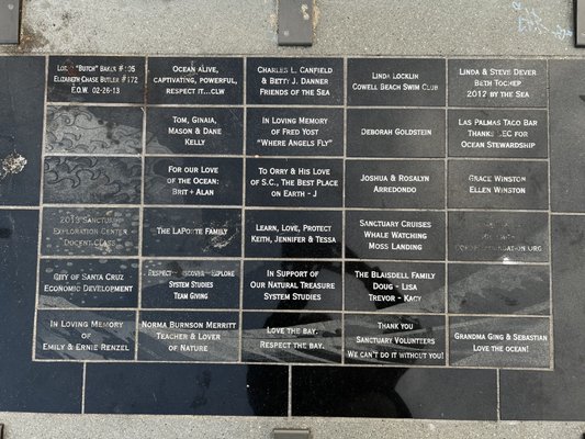 Monterey Bay National Marine Sanctuary Exploration Center by null