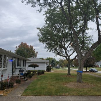 Custom Tree - Trimmed locust tree from house to reduce yard waste and allow grass to grow - Tree Services Near Me - Lorain, Ohio Custom Tree - Trimmed locust tree from house to reduce yard waste and allow grass to grow - Tree Services Near Me - Lorain, Ohio