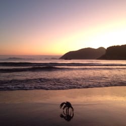 Ypê Camping - Caranguejos por toda parte.