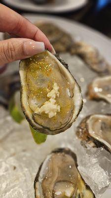 Deckhand Oyster Bar & Seafood by null