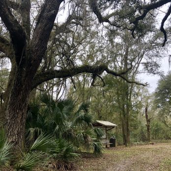 Wilderness Park - Bench with map and trash can - Parks Near Me - Thonotosassa, Florida
