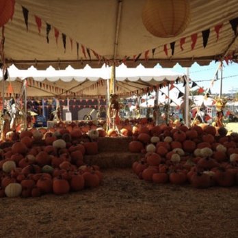 Frosty's Forest Pumpkin Patch - Pumpkins - Attraction Farms Near Me - Chino, California Frosty's Forest Pumpkin Patch - Pumpkins - Attraction Farms Near Me - Chino, California