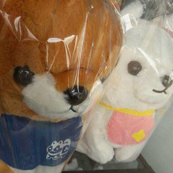 Moshi Moshi Gifts - Got this for my little sister. Is it cute or what?! - Toy Stores Near Me - Houston, Texas Moshi Moshi Gifts - Got this for my little sister. Is it cute or what?! - Toy Stores Near Me - Houston, Texas