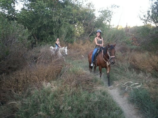 S&D Horseback Riding by null