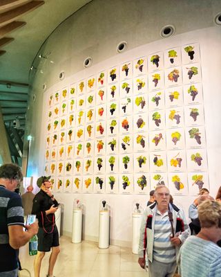 Cité du Vin by null Cité du Vin by null