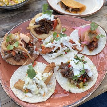 The Painted Burro - Mucho Monday All-You-Can-Eat Tacos! - Mexican Near Me - Somerville, Massachusetts