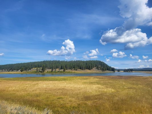 Hayden Valley by null