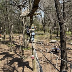 Trinity Forest Adventure Park
