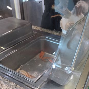 Biloxi Bay Buffet - Buffets Near Me - Biloxi, Mississippi
