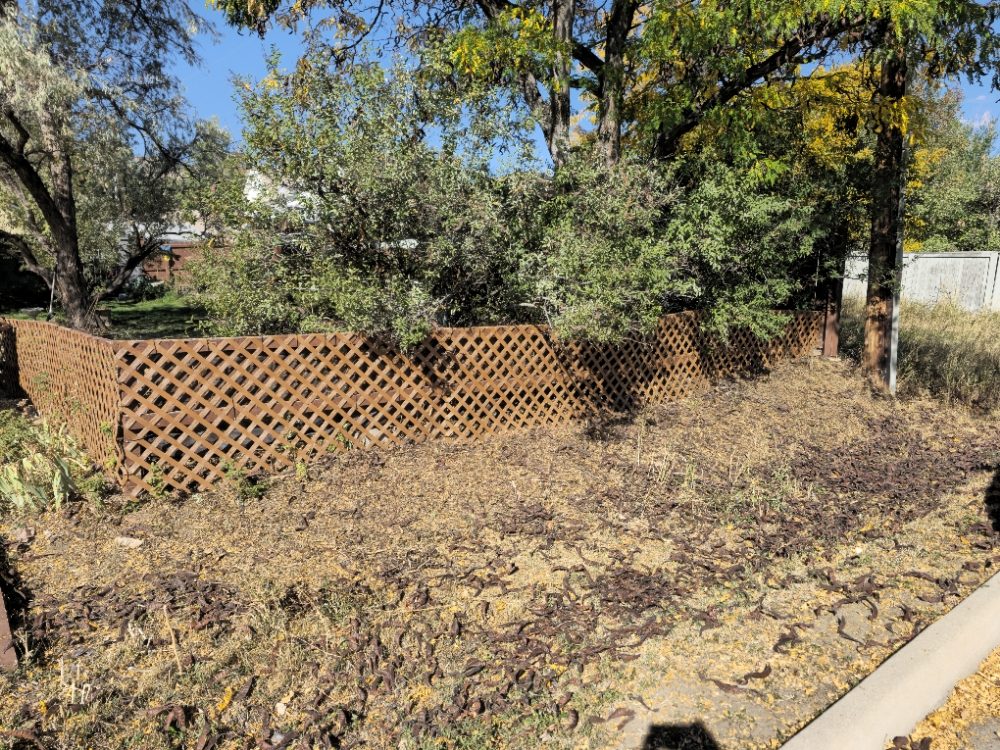 Slide of Happy Handyman Zach of all trades