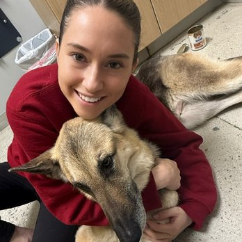 Porter Veterinary Center - Penelope and myself both fighting for each other. - Veterinarians Near Me - Northridge, California Porter Veterinary Center - Penelope and myself both fighting for each other. - Veterinarians Near Me - Northridge, California