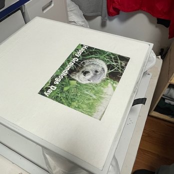 Diaz Screen Printing & Embroidery - Screen Printing/T-Shirt Printing Near Me - Novato, California Diaz Screen Printing & Embroidery - Screen Printing/T-Shirt Printing Near Me - Novato, California