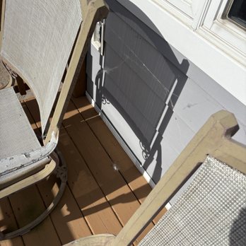 Greenix Pest Control - House is caked with spiders after 1 year of their service - Pest Control Near Me - Downingtown, Pennsylvania Greenix Pest Control - House is caked with spiders after 1 year of their service - Pest Control Near Me - Downingtown, Pennsylvania