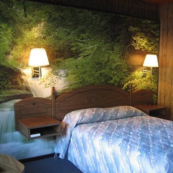 Motel Trees - Hotels Near Me - Klamath, California