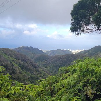 Wiliwilinui Ridge Trail - Hiking Near Me Wiliwilinui Ridge Trail - Hiking Near Me