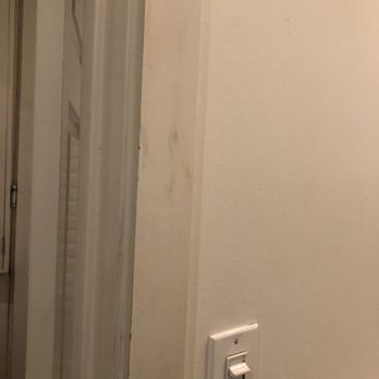Hotel Royal - Scuff throughout - Hotels Near Me - New Orleans, Louisiana