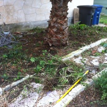 Able Body For You - Weeds can get aggressive. - Drywall Installation & Repair Near Me Able Body For You - Weeds can get aggressive. - Drywall Installation & Repair Near Me