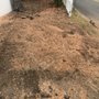 BPM Stump Grinding