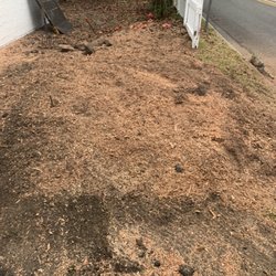 BPM Stump Grinding