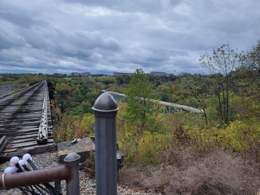 Bluegrass Scenic Railroad and Museum by null