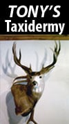 Tony's Taxidermy - taxidermy in Endeavor, WI