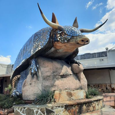 Goode Company Armadillo Palace by null