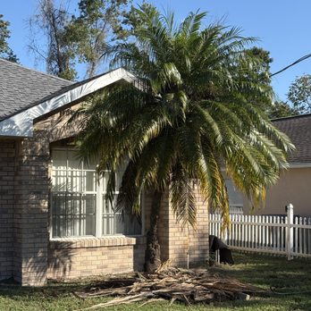 Lawn&Scaping - After - Lawn Services Near Me - Deltona, Florida Lawn&Scaping - After - Lawn Services Near Me - Deltona, Florida