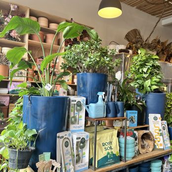 Winter Swan Coffee - Coffee & Tea Near Me - Rochester, New York Winter Swan Coffee - Coffee & Tea Near Me - Rochester, New York