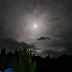 Glacier Basin Campground