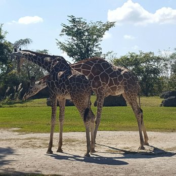 Zoo Miami - Zoos Near Me - Miami, Florida