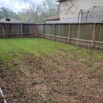 Green Dream Lawn - a fenced in backyard - Lawn Services Near Me - Humble, Texas Green Dream Lawn - a fenced in backyard - Lawn Services Near Me - Humble, Texas