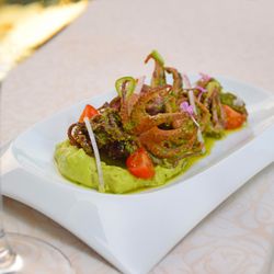 Terra Luna - Calamares fritos Terra Luna