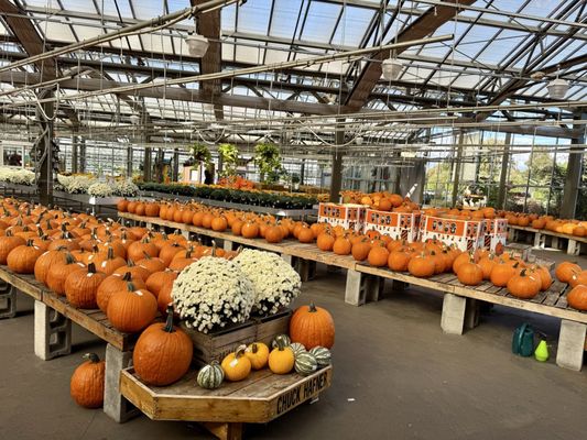 Chuck Hafners Farmers' Market & Garden Center, 7265 Buckley Rd