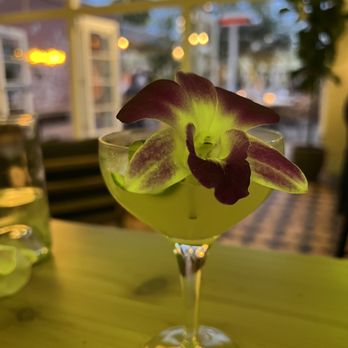 Palma - Sushi Bars Near Me - Phoenix, Arizona