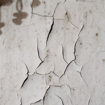 C & C Apartment Management - Black mold & Asbestos - Property Management Near Me - New York, New York