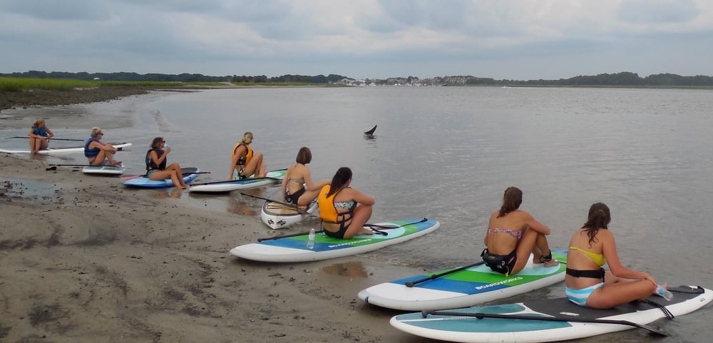 Water Dog Paddle Co Logo