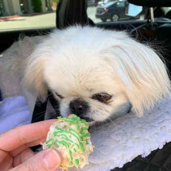 Bogarts Bone Appetit - Yes please - Pet Groomers Near Me - Las Vegas, Nevada