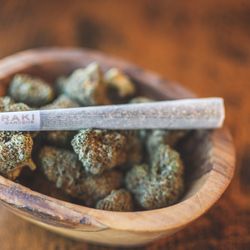 Redbarn Dispensary