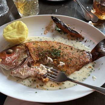Herb & Sea - Red Snapper - 8/21/26 - Seafood Near Me - Encinitas, California Herb & Sea - Red Snapper - 8/21/26 - Seafood Near Me - Encinitas, California