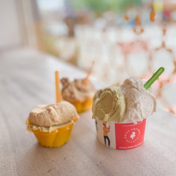 Nutty Squirrel Gelato - Phinney Ridge - a cup of ice cream and a cupcake - Gelato Near Me - Seattle, Washington Nutty Squirrel Gelato - Phinney Ridge - a cup of ice cream and a cupcake - Gelato Near Me - Seattle, Washington