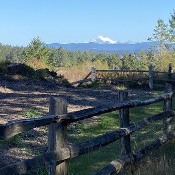Starr Excavation - Protect our islands: have a routine inspection done on your septic tanks regularly. - Septic Services Near Me - Friday Harbor, Washington