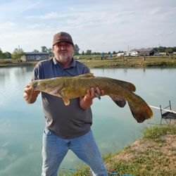 Kat Daddy's Fish Farm