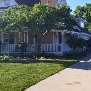 Family Tree Removal - Tree Services Near Me - Shelby Township, Michigan Family Tree Removal - Tree Services Near Me - Shelby Township, Michigan