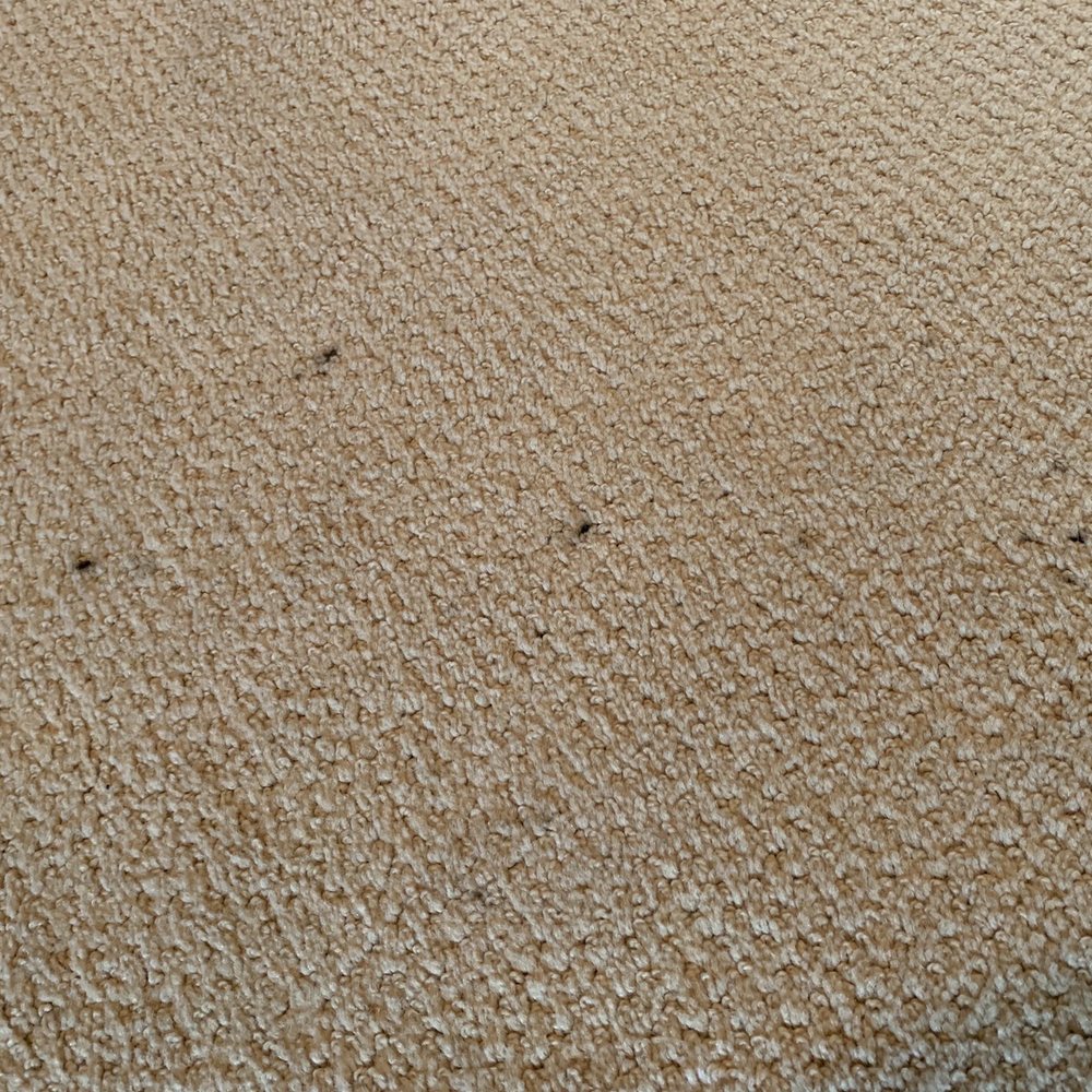 Davis Appliance Repair - The tech left grease stains in my carpet. - Appliances & Repair Near Me Davis Appliance Repair - The tech left grease stains in my carpet. - Appliances & Repair Near Me
