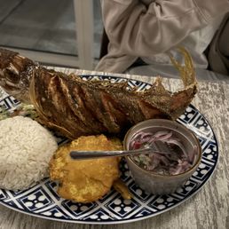 Snapper