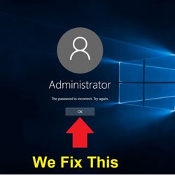 Password Recovery