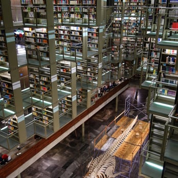 Biblioteca Vasconcelos - Biblioteca Vasconcelos (Vasconcelos Library) in Mexico City - Libraries Near Me - Ciudad de México, DIF Biblioteca Vasconcelos - Biblioteca Vasconcelos (Vasconcelos Library) in Mexico City - Libraries Near Me - Ciudad de México, DIF