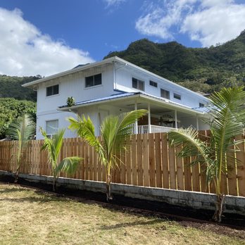 Lush Palm Landscapes - AFTER with 4 new coconut palm trees and fresh nutrient rich soil ready for new plants. - Landscaping Near Me