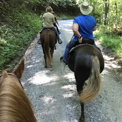 Horseshoe Creek Riding Stables - Amazing ride trail ride