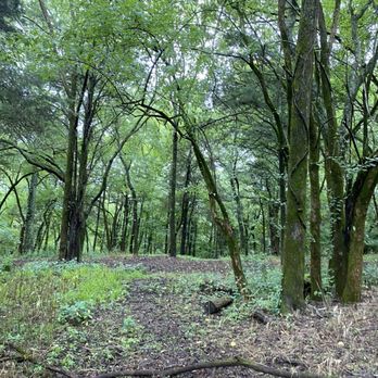Liberty Park - Disc Golf Near Me - Franklin, Tennessee